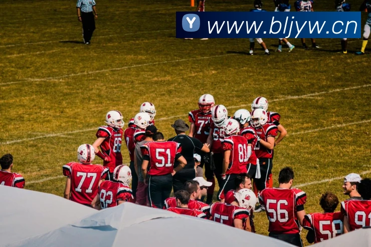 开云网页版在线登录appAPP 封面图